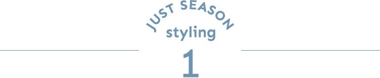 JUST SEASON STYLING 1