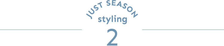 JUST SEASON STYLING 2