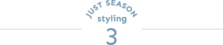 JUST SEASON STYLING 3