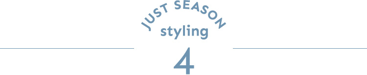 JUST SEASON STYLING 4