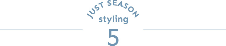 JUST SEASON STYLING 5