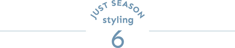 JUST SEASON STYLING 6