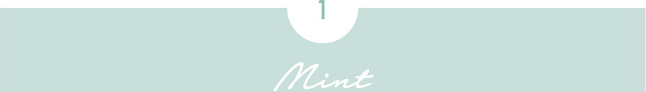 1.Mint
