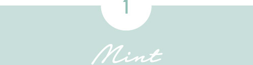 1.Mint
