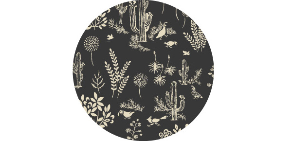 カンムリウズラ