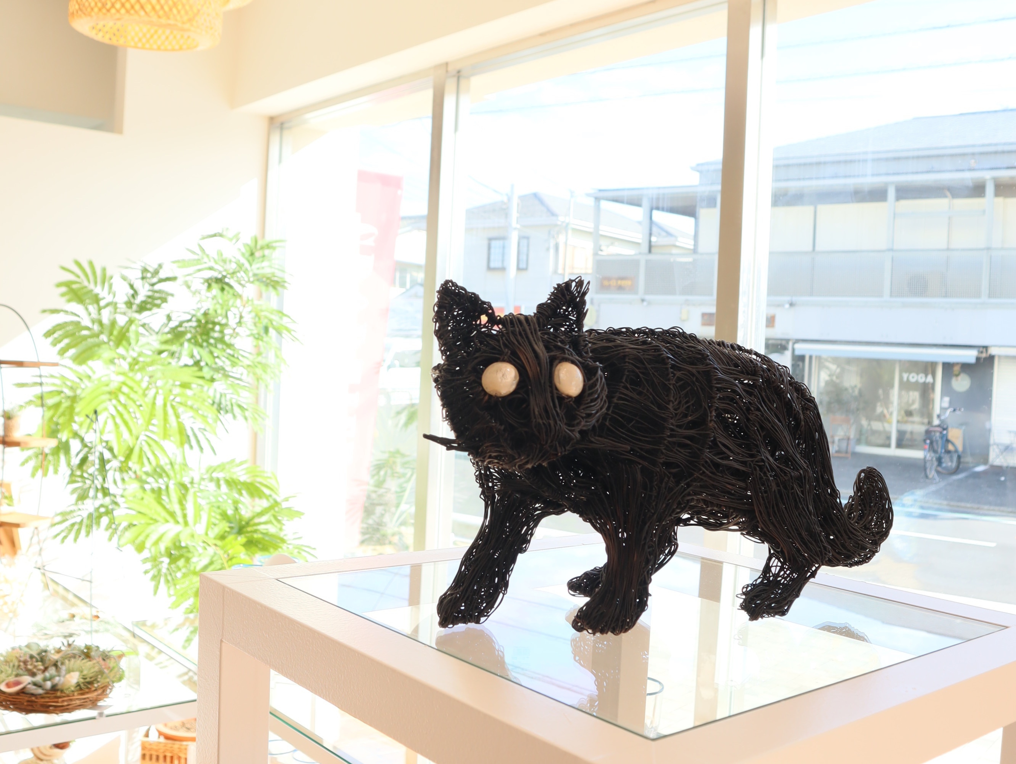 “テンポ6"